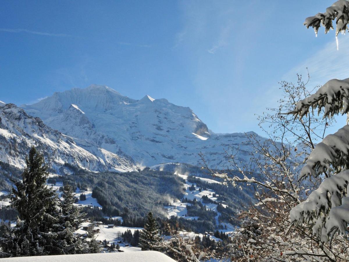 Apartment Bergkristall By Interhome Wengen Kültér fotó