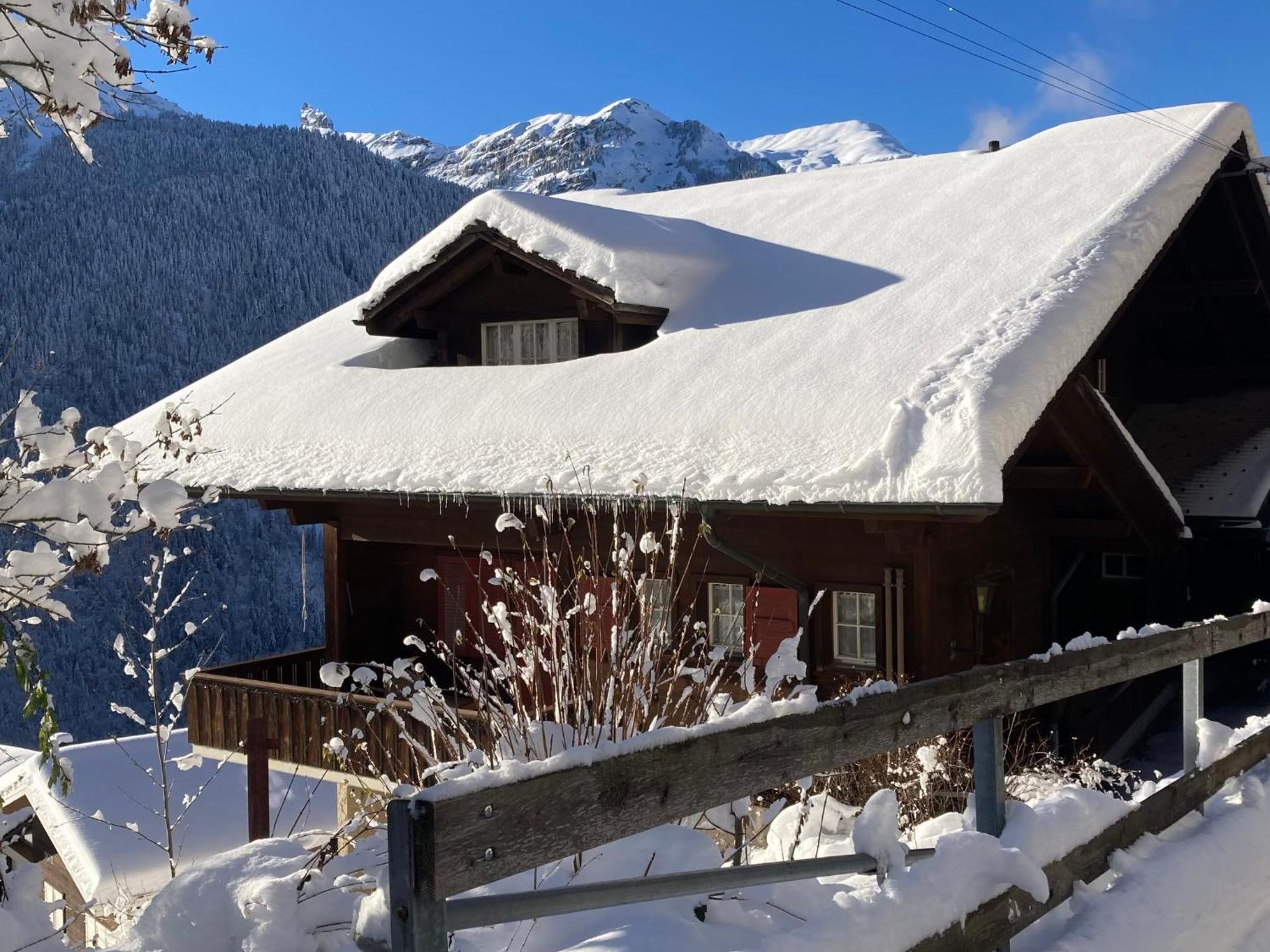 Apartment Bergkristall By Interhome Wengen Kültér fotó