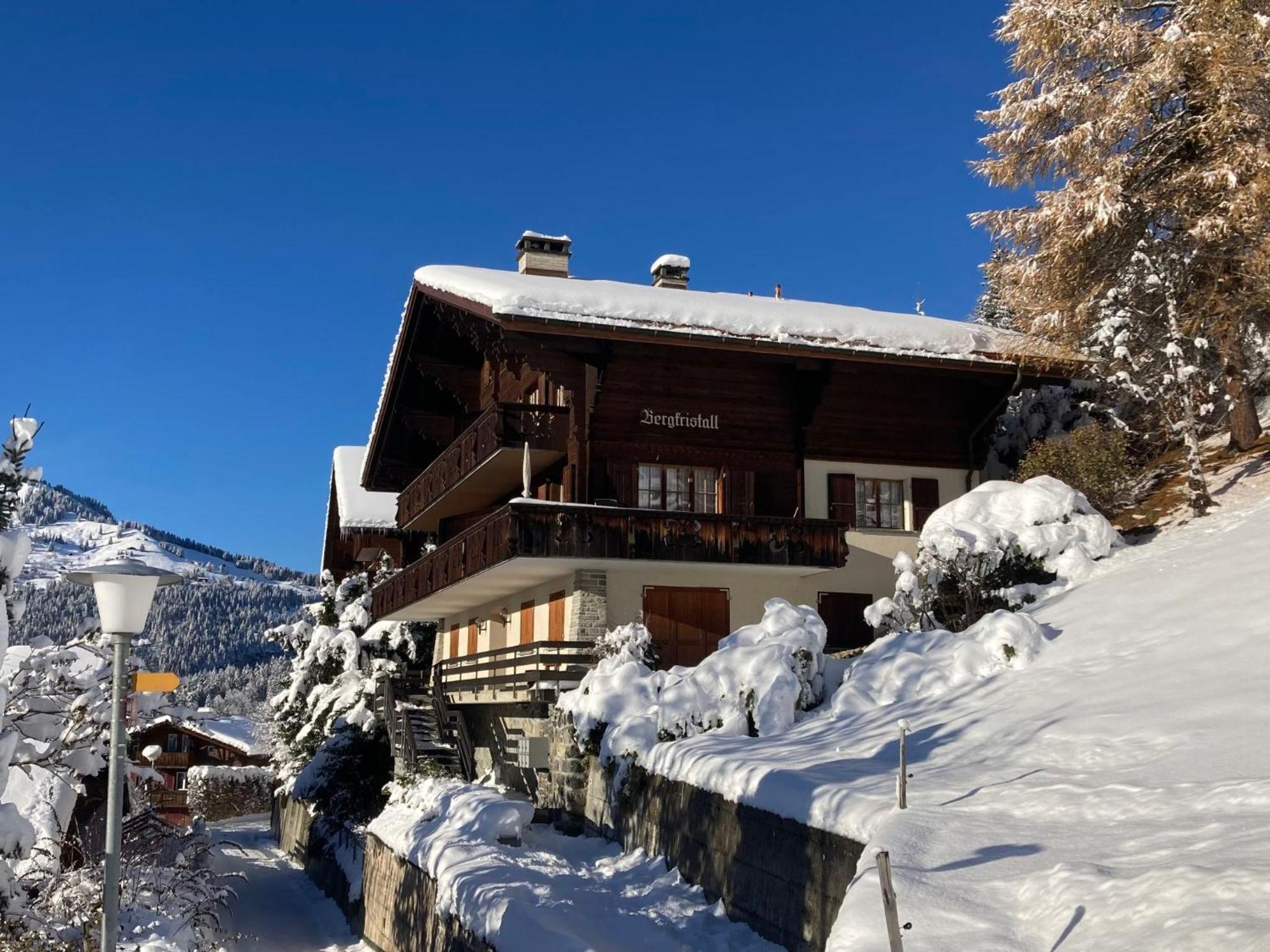 Apartment Bergkristall By Interhome Wengen Kültér fotó